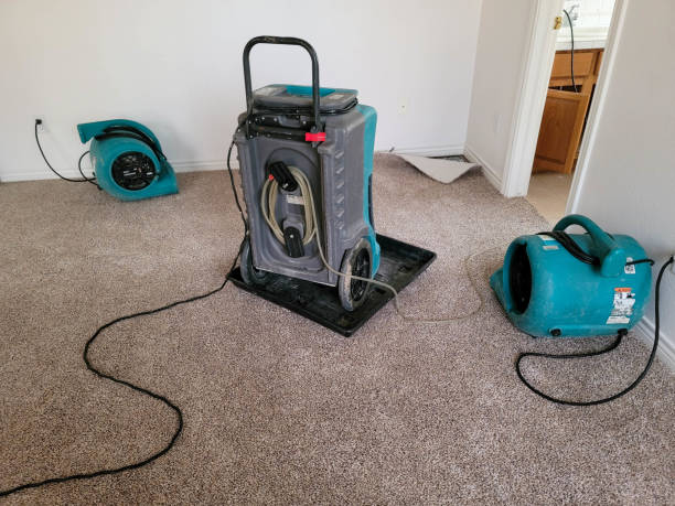 Best Flooded house restoration  in Flemingsburg, KY