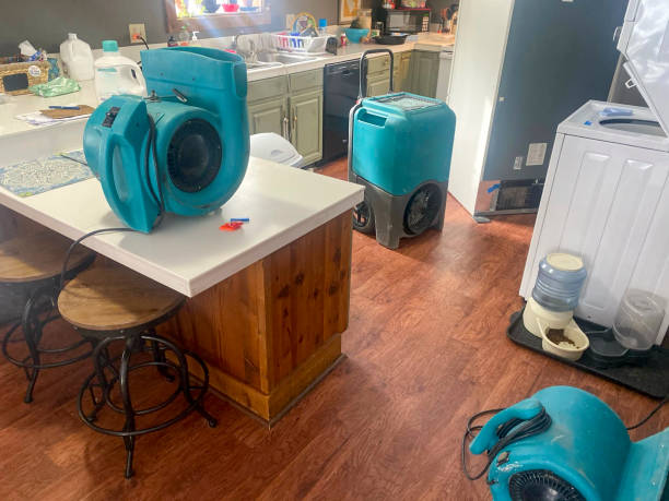 Best Residential water damage restoration  in Flemingsburg, KY