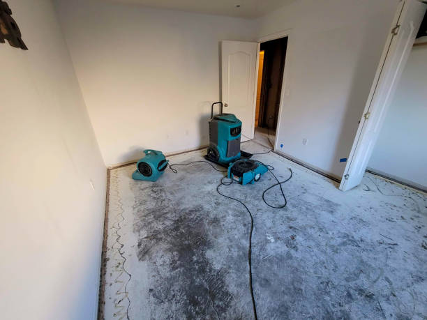 Best Sewage cleanup and water damage restoration  in Flemingsburg, KY