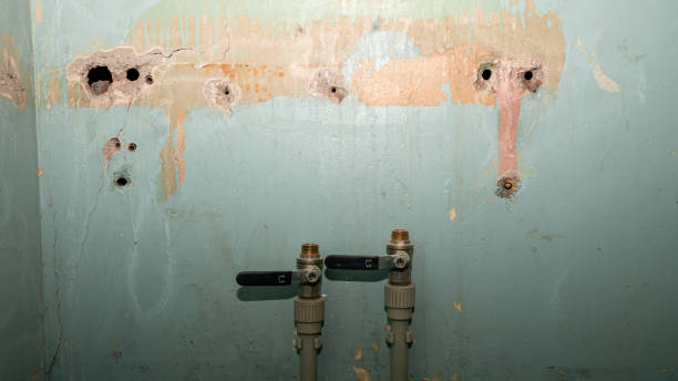 Best Mold removal after water damage  in Flemingsburg, KY