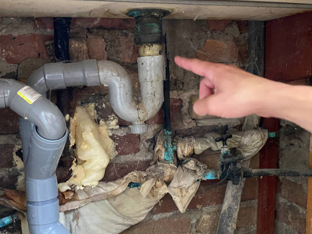 Best Water damage restoration near me  in Flemingsburg, KY