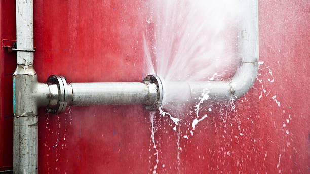 Best Water damage contractors near me  in Flemingsburg, KY