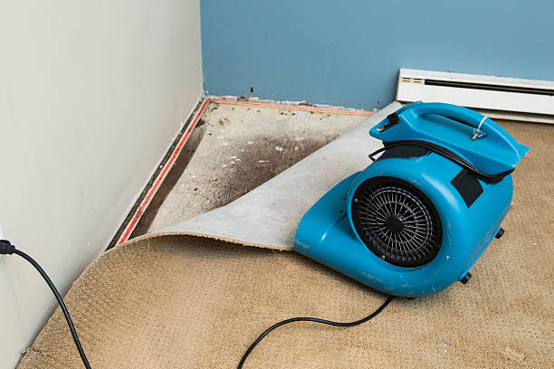 Best Water damage restoration services  in Flemingsburg, KY